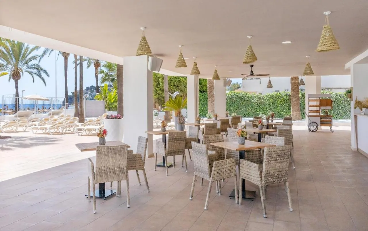 מלון מגאלוף Sol House The Studio - Calvia Beach - Adults Only