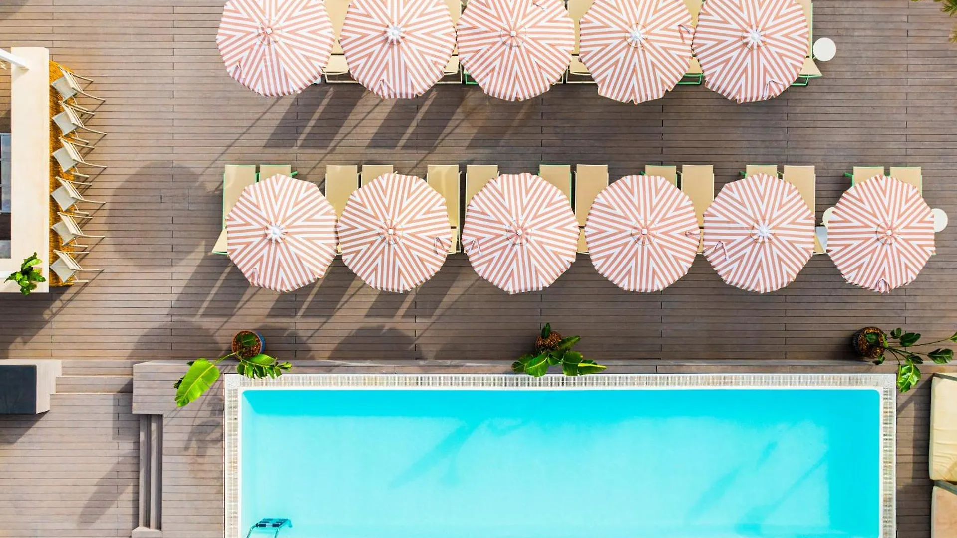 מלון מגאלוף Sol House The Studio - Calvia Beach - Adults Only